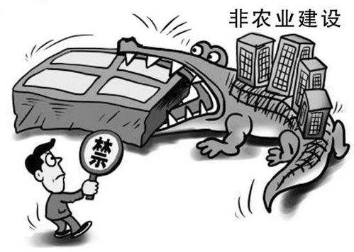 破坏耕地的法律规定及相关处罚