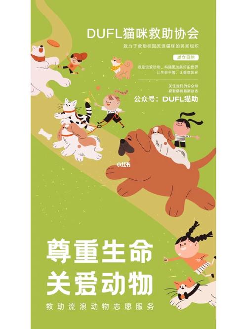 流浪小动物救助法律