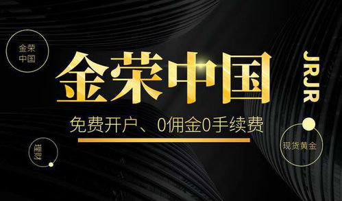 法律至上电视剧简介