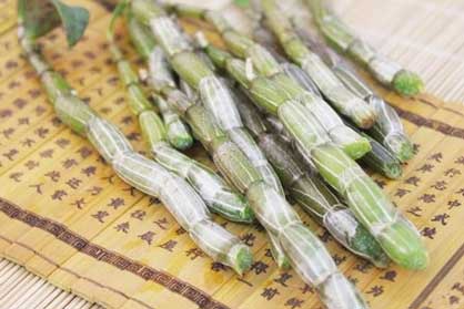 铁皮石斛食用方法