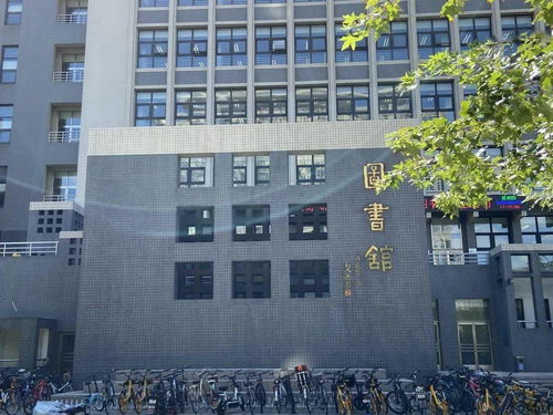 揭秘高性价比大学分数不再是唯一，你值得拥有的教育宝藏