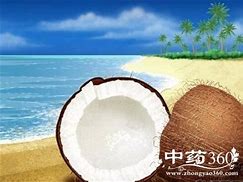 营养价值与成分