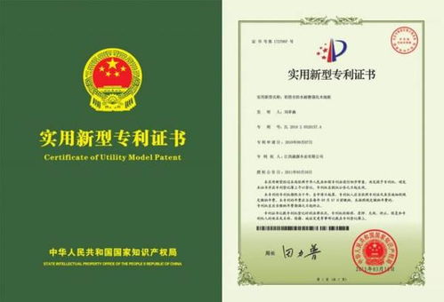 个人怎么申请专利要多久才能成功