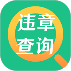 交通违章几天能查到