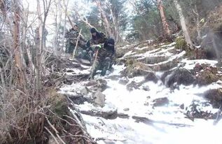 登山失联9天8夜获救，奇迹背后的艰辛与希望