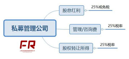【财富的秘密花园】——探索权益性投资的魅力