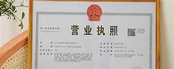 一键直达，轻松掌握——营业执照查询入口指南