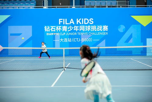 郑钦文年入720万，年轻网球新星的价值与未来展望