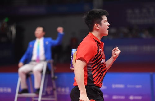 樊振东冲击金牌，实力与梦想的较量