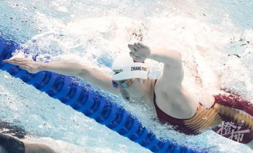 暂别泳池，张雨霏的新希望与挑战