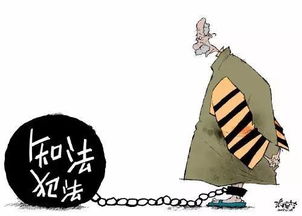 两男子盗剥树皮价值十万元，法律如何制裁？