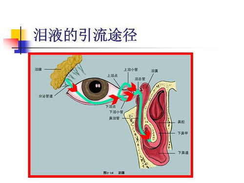 感染风险下的抉择，从摘除眼球谈生命与健康的较量