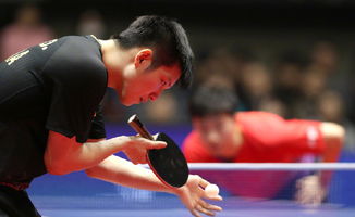 中国队包揽乒乓金牌，荣耀背后的努力与传承