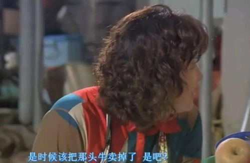 张本智和删简介的背后故事