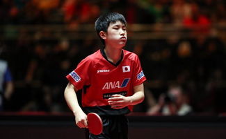 张本智和删简介的背后故事