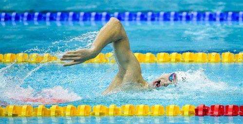 孙杨再度扬帆起航，备战明年全运会的决心与期待