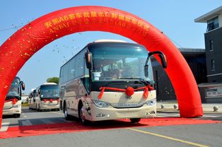 洛杉矶将办无车奥运——绿色运动的新里程碑
