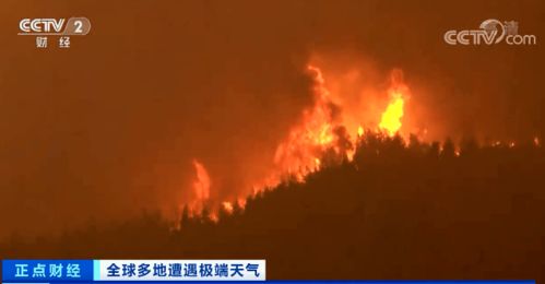 山火逼近希腊首都，危机下的挑战与应对策略