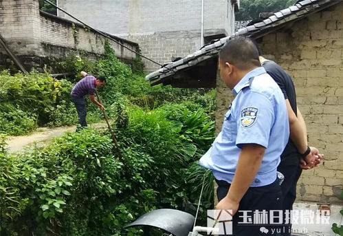 失踪女童在深山找到，奇迹背后的故事
