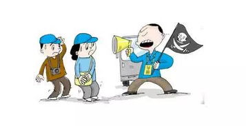 景区检票员辱骂游客，服务质量与职业操守的反思