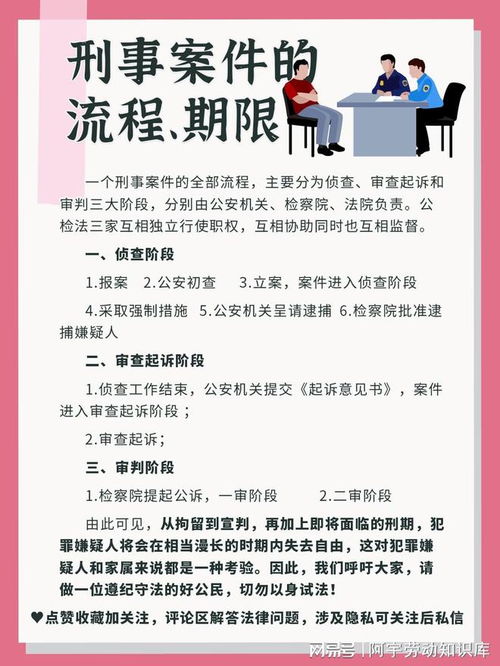 刑事案件流程解析，从立案到判决的全过程