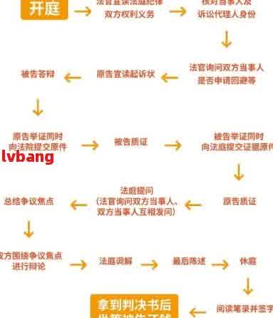 刑事案件流程解析，从立案到判决的全过程