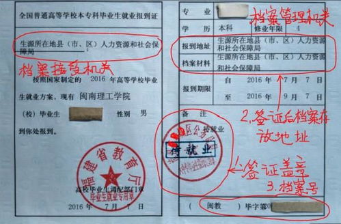 报到证有效期，全面解析与注意事项