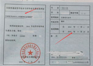 报到证有效期，全面解析与注意事项