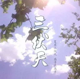 超长三伏天正式下线，回首炙热夏日，展望凉爽金秋