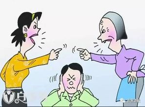 闹离婚争乌龟抚养权，现代家庭纷争的新焦点