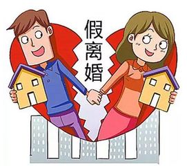 闹离婚争乌龟抚养权，现代家庭纷争的新焦点