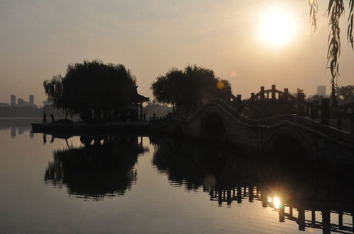 山东的奇迹，下出6500个大明湖