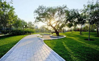 双滦区租房指南，如何在繁华与宁静间找到你的理想居所