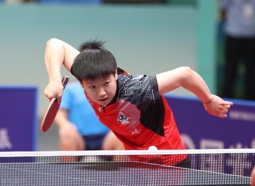 国乒包揽五项世界第1，荣耀背后的辛勤与智慧