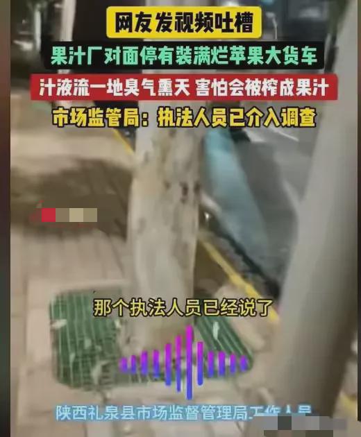 拉烂苹果进厂榨汁？一场关于资源再利用的思考