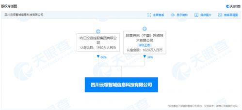 投资公司的经营范围，多元化的财富管理之路