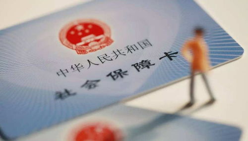 人身损害赔偿，构建和谐社会的法律保障