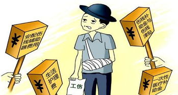 人身损害赔偿，构建和谐社会的法律保障