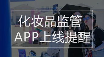 机动车驾驶证号查询，安全与便捷的智慧交通新时代