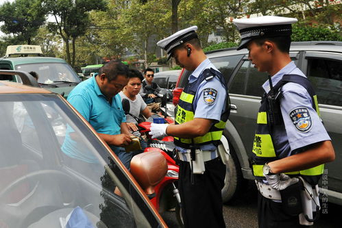 机动车驾驶证号查询，安全与便捷的智慧交通新时代