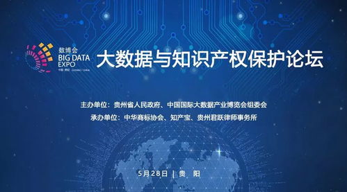 网络侵权律师，数字时代的法律守护者