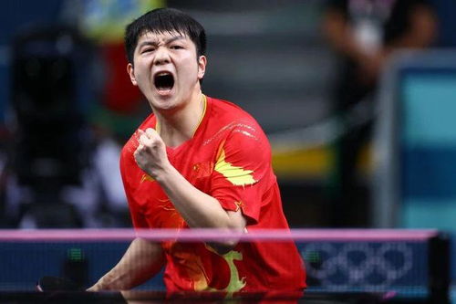 潘展乐调侃樊振东，赛场上的友情对话