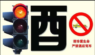 酒后驾驶处罚，守护生命的安全网