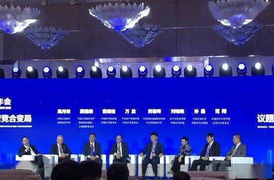 新成立公司的机遇与挑战，探索成长之路