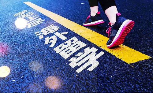 德国留学政策全面解读，开启你的梦想之旅