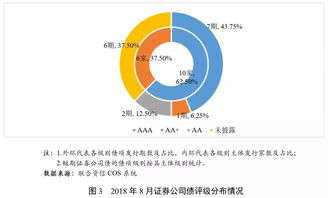 可转换公司债，企业融资与投资者选择的新视角