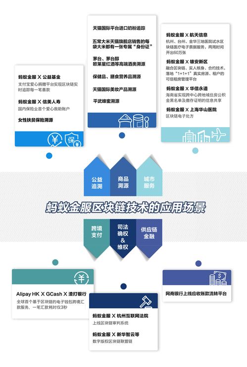 共同犯罪案例剖析，以合作之名的法律边界