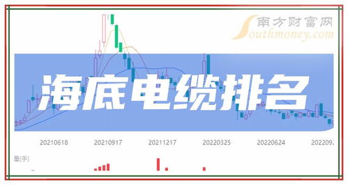 公司买保险，构建企业稳健发展的安全网