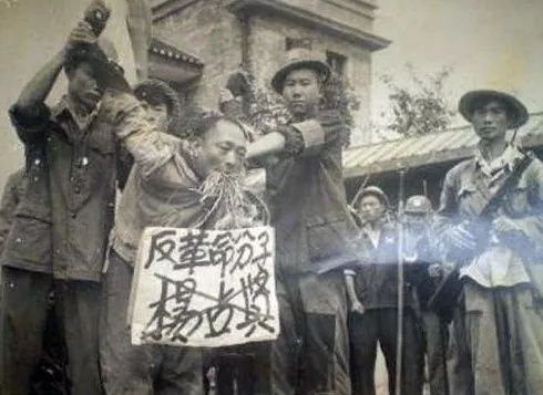 伐木工侵犯部落引发的悲剧，一起杀戮事件的分析与反思