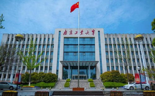孙卓报考南京工业大学，理性回应，展现学子风采
